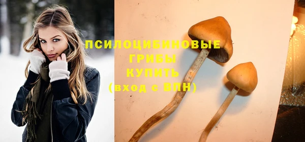 героин Алексин
