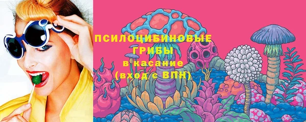 стаф Алексеевка